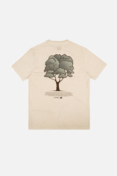 Camiseta Pontido Pigment Eucalyptus