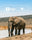 Trendsplant donates €18,467 in 2024 through 1% for the planet