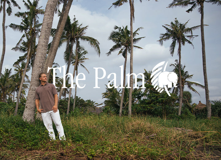 The Palm: a capsule about love, time, and natural elegance