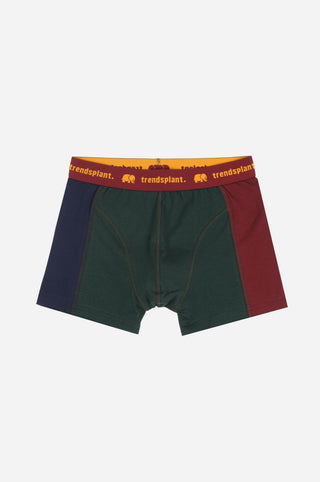 Silhouette frontale di Organic Essential Boxer Briefs in design Color Block | TP_IMAGE_TYPE=SILHOUETTE_FRONT