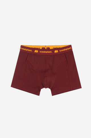 Silhouette di Organic Essential Boxer Briefs in Burgundy | TP_IMAGE_TYPE=SILHOUETTE_FRONT