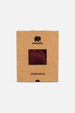 Boxer Briefs Essential Organic bordeaux presentati nella confezione | TP_IMAGE_TYPE=DETAIL