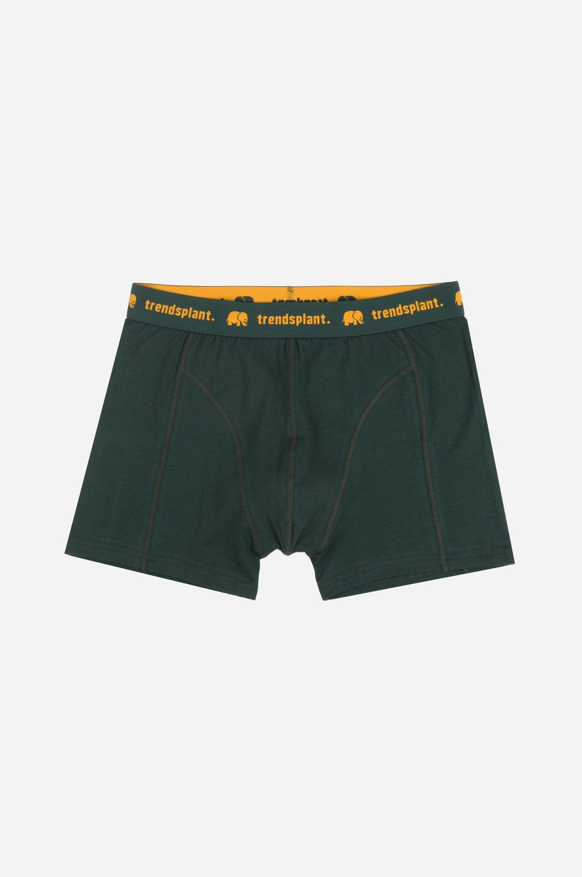 Silhouette frontale di Organic Essential Boxer Briefs in verde | TP_IMAGE_TYPE=SILHOUETTE_FRONT