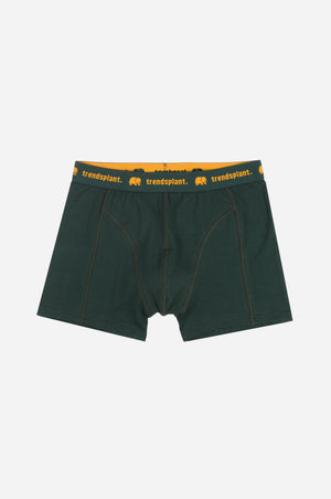 Silhouette frontale di Organic Essential Boxer Briefs in verde | TP_IMAGE_TYPE=SILHOUETTE_FRONT
