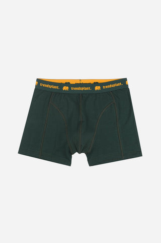 Silhouette frontale di Organic Essential Boxer Briefs in verde | TP_IMAGE_TYPE=SILHOUETTE_FRONT