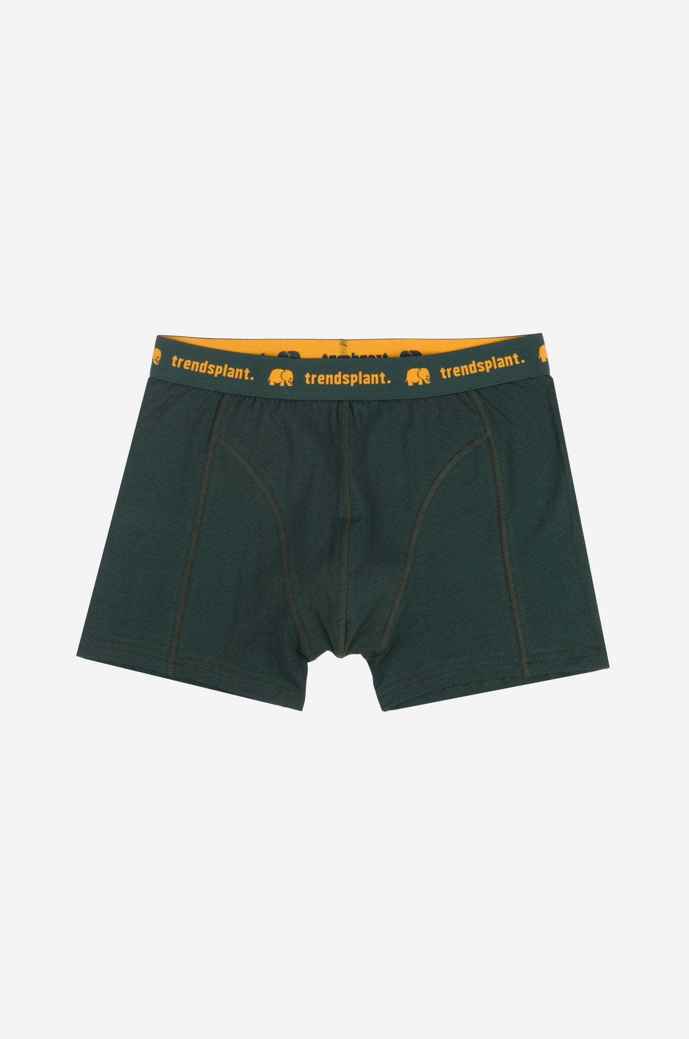 Organic Essential Boxer Briefs Green