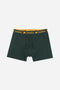 Organic Essential Boxer Briefs Green