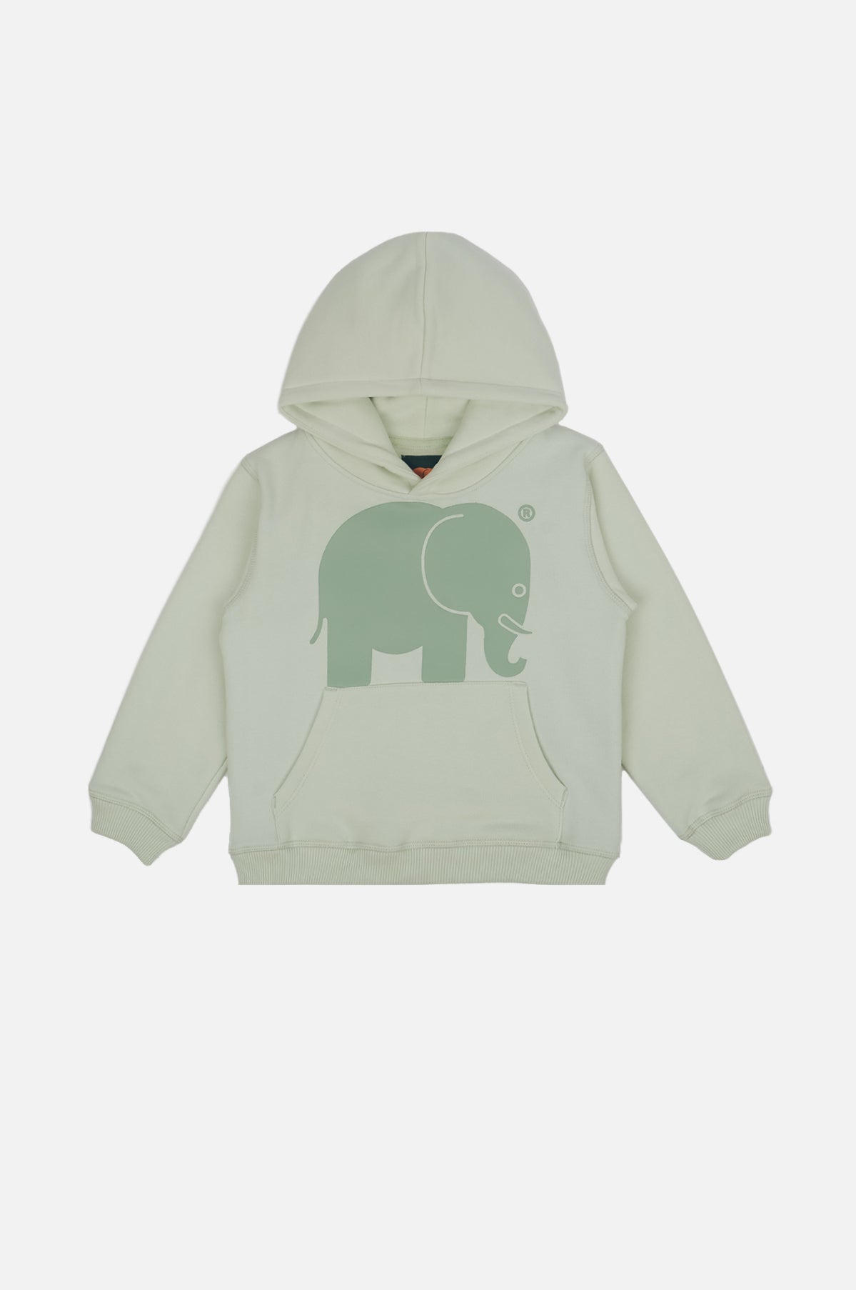 Sweat à capuche classique bio pour enfant, en vert menthe, avec un graphique ludique d'éléphant sur le devant. | TP_IMAGE_TYPE=SILHOUETTE_FRONT
