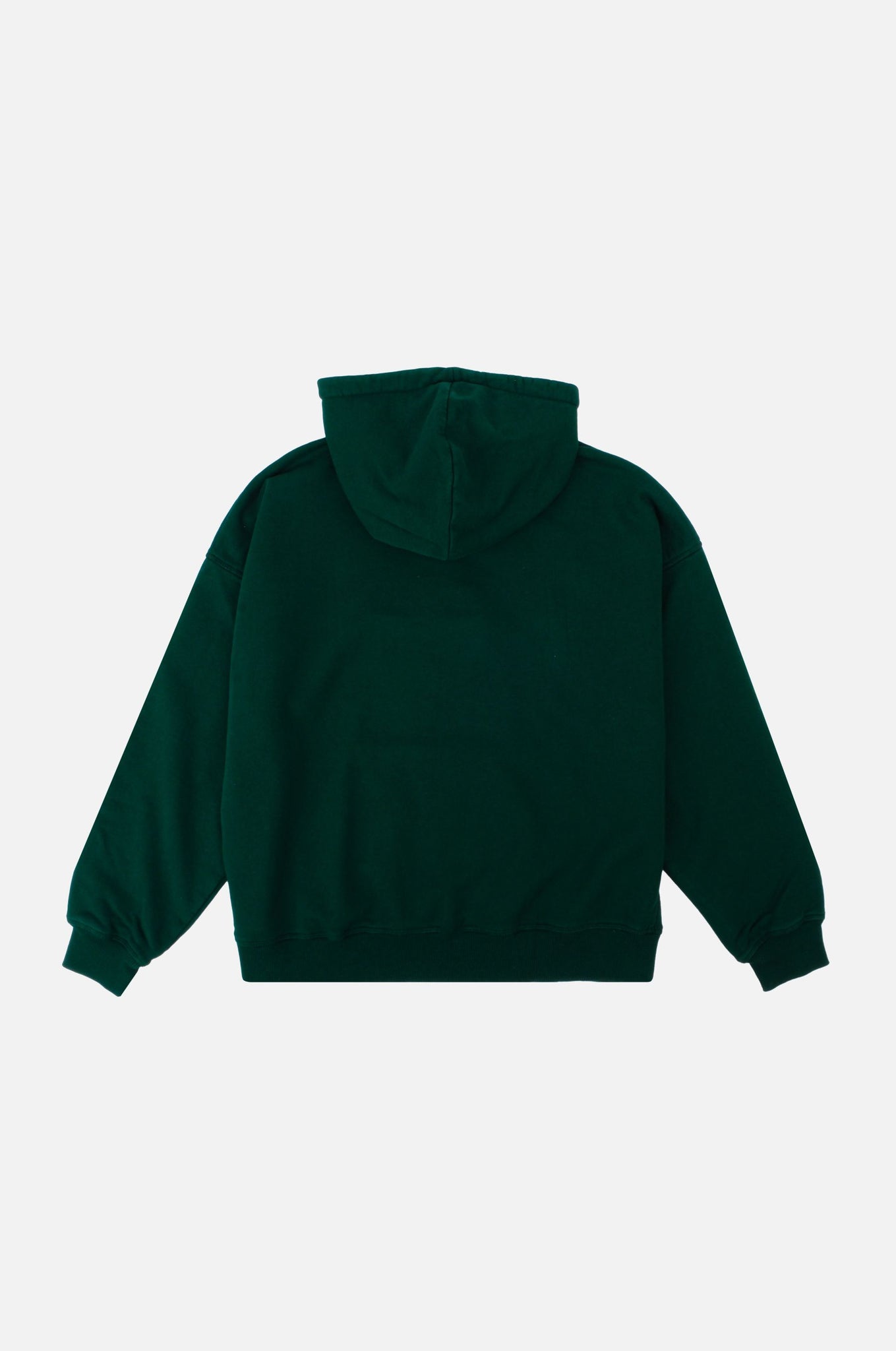 Women's Essential Garment Heavyweight Oversized Hoodie Botanical Garden