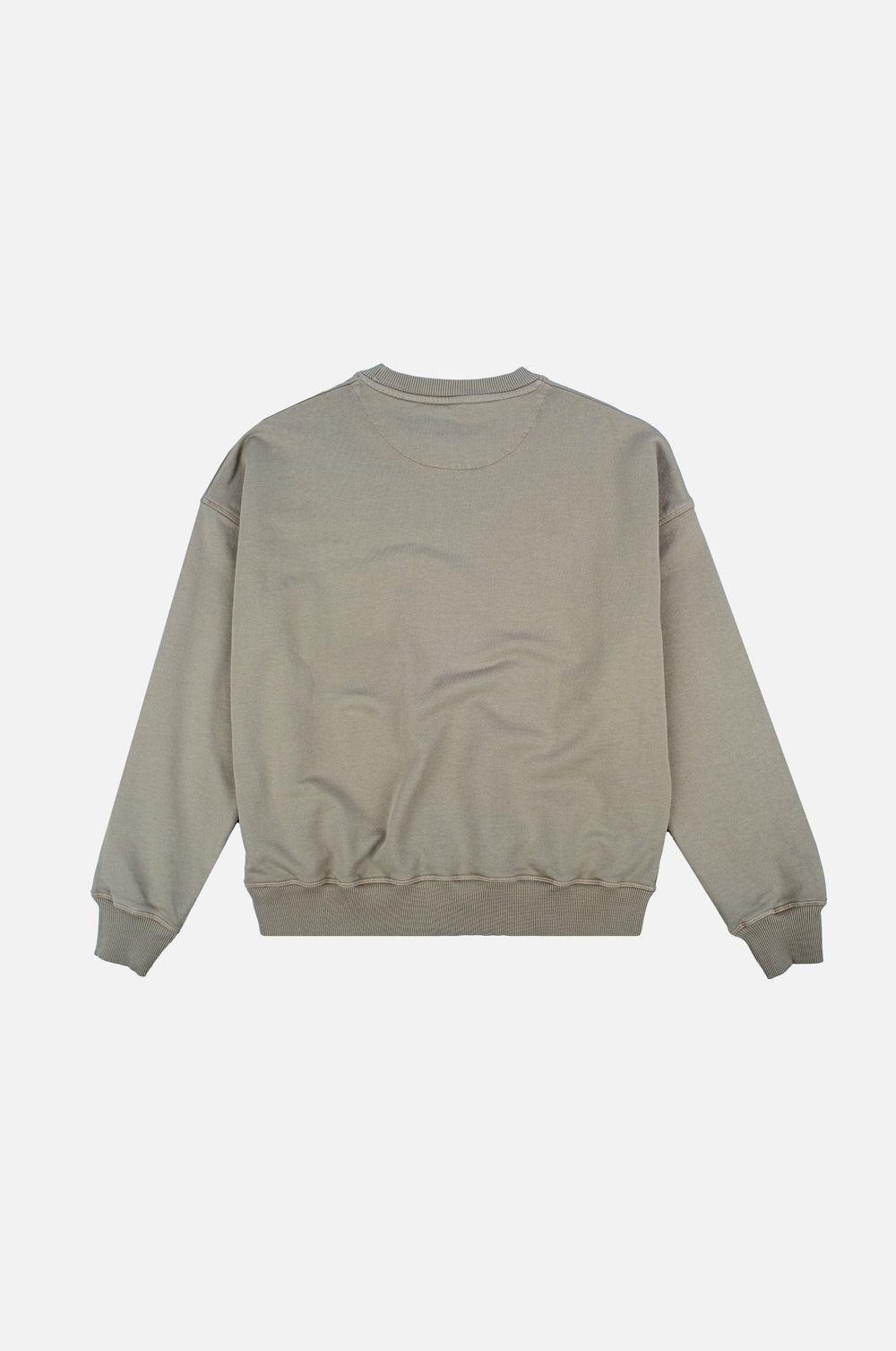 Back view of a Women's Essential Garment Heavyweight Oversized Sweatshirt in Dried Sage | TP_IMAGE_TYPE=MODEL_BACK