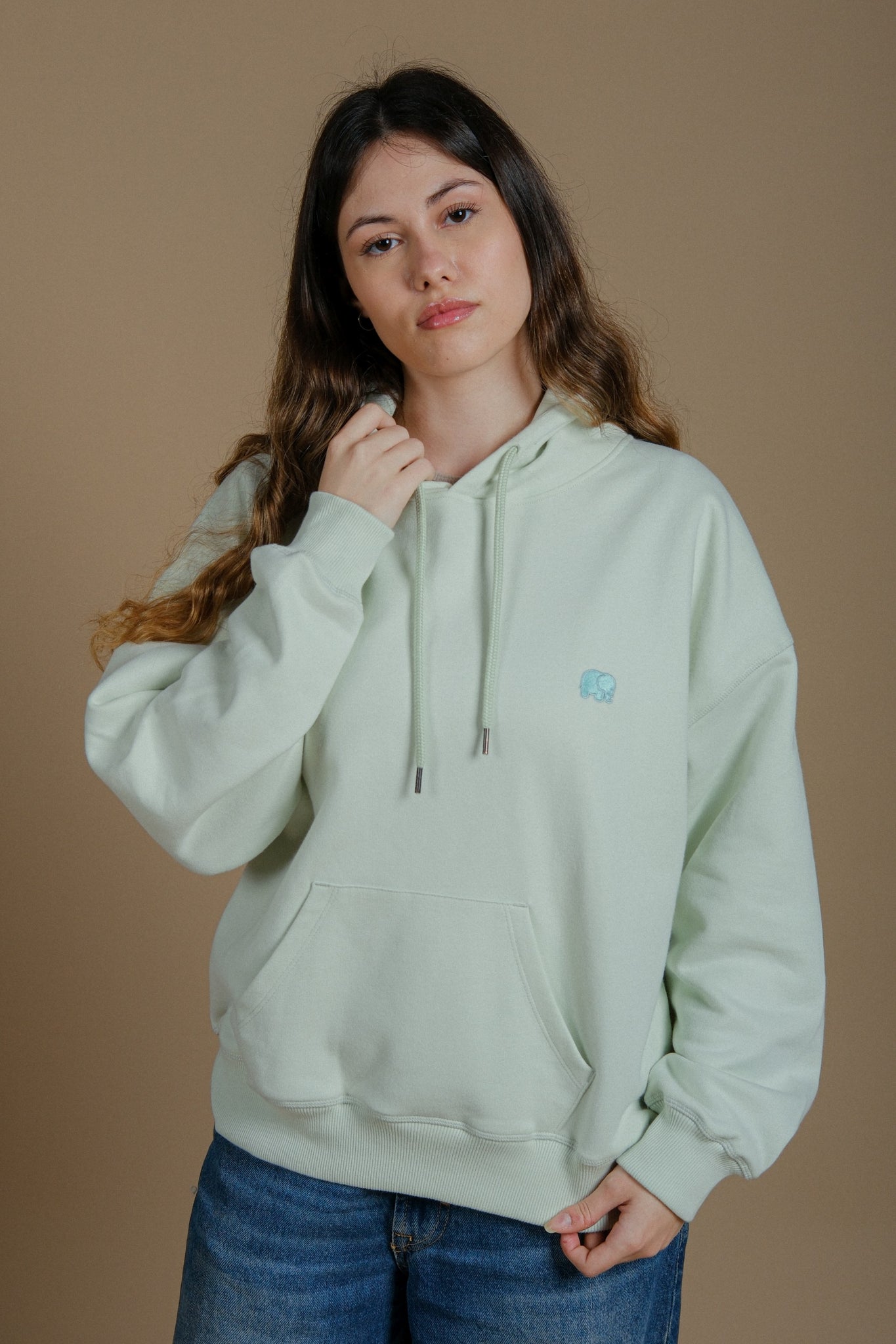 Women's Organic Essential Oversized Hoodie Mint Green