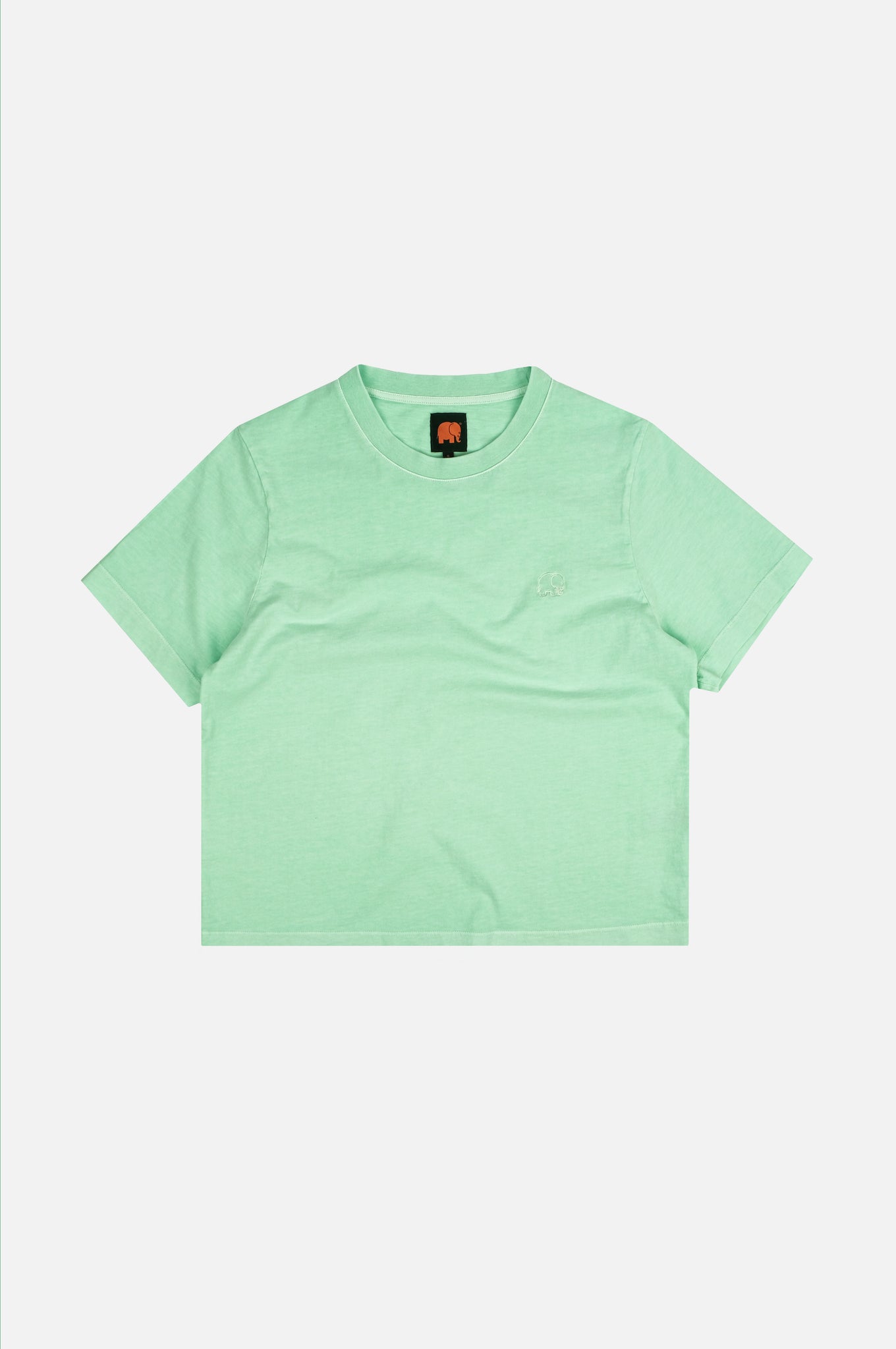 Women's Essential Pigment T-Shirt Dusty Aqua