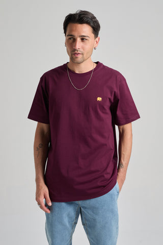 Persona che indossa una Organic Essential T-Shirt in vino rosso, vista frontale | TP_IMAGE_TYPE=MODEL_FRONT