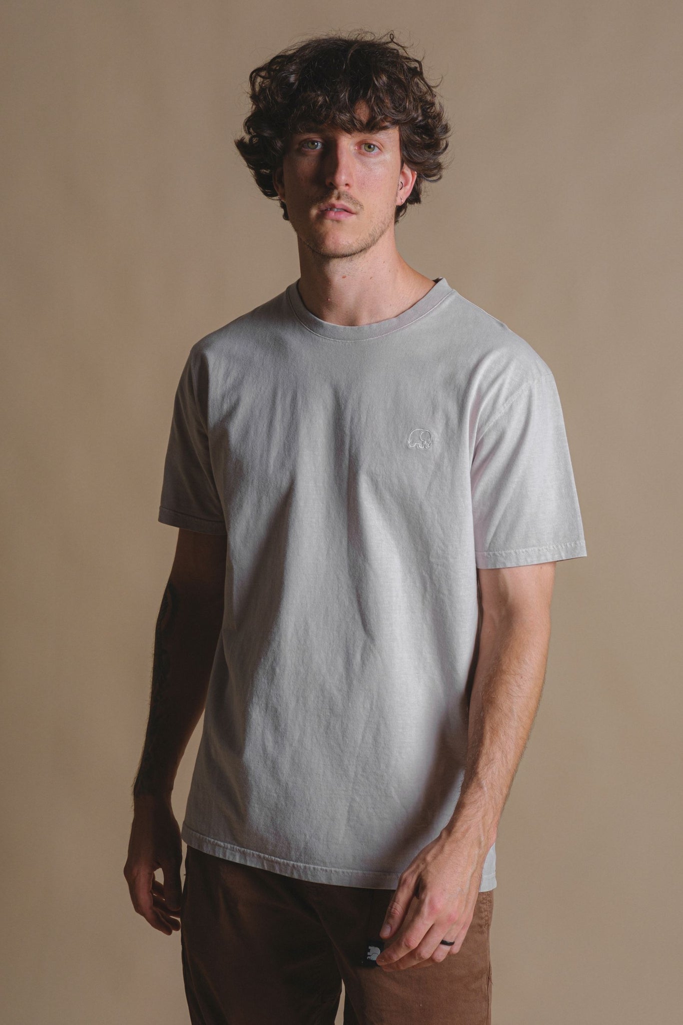 Essential Pigment T-Shirt Island Fossil