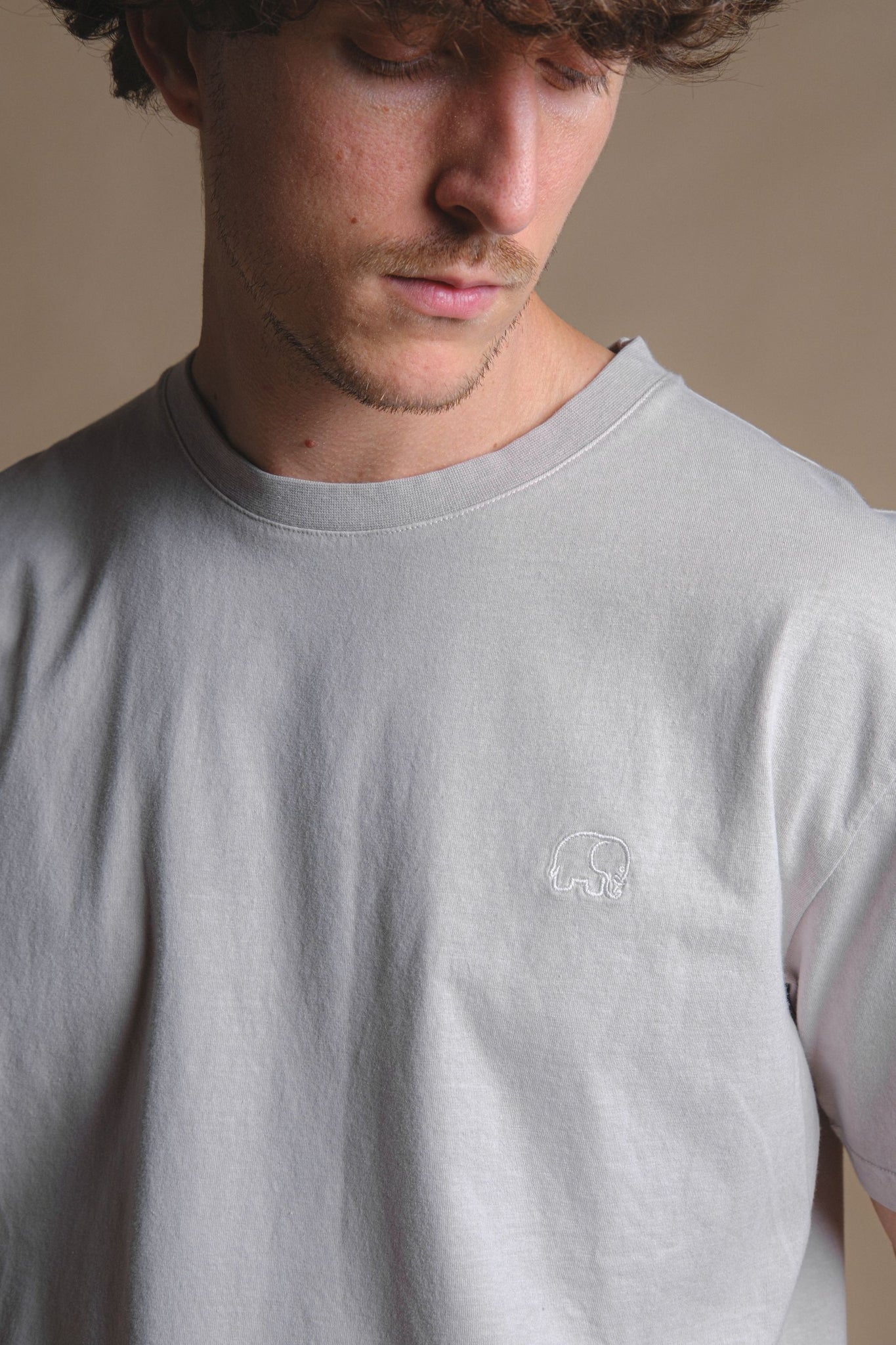 Essential Pigment T-Shirt Island Fossil