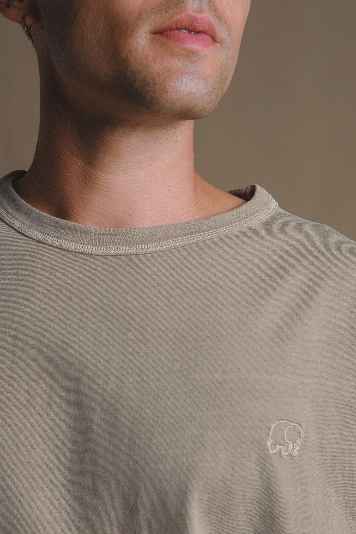 Essential Pigment Heavyweight Oversized T-Shirt Brindle