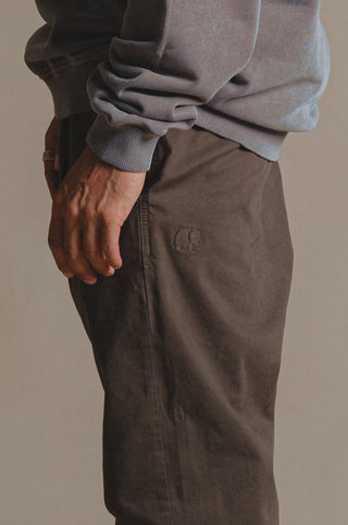 Personne portant le Ecodye Cotton Climber Pant en Ivy Green, vue de côté | TP_IMAGE_TYPE=MODEL_BACK
