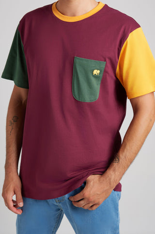 Person wearing an organic color block t-shirt in burgundy with green and yellow accents and a pocket | TP_IMAGE_TYPE=MODEL_FRONT