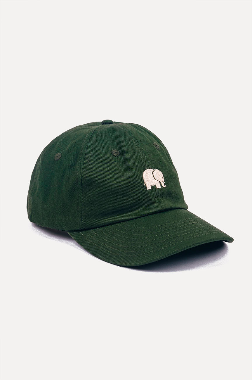 Silhouette frontale di un Dad Cap con logo Kombu Green | TP_IMAGE_TYPE=SILHOUETTE_FRONT