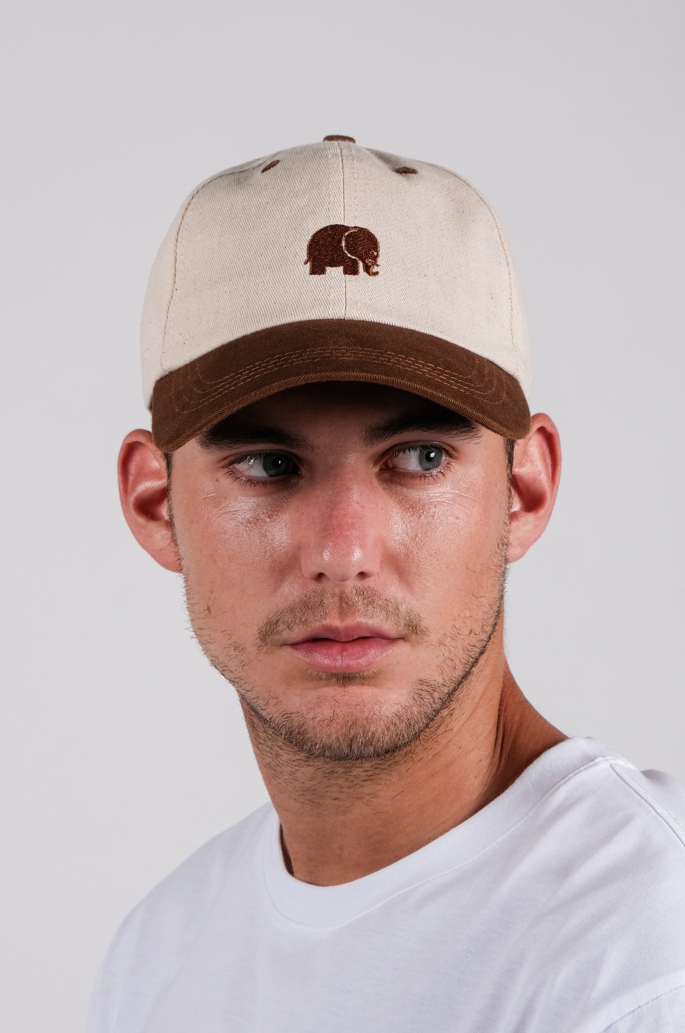 Gorra Logo Dad Camel Ecru