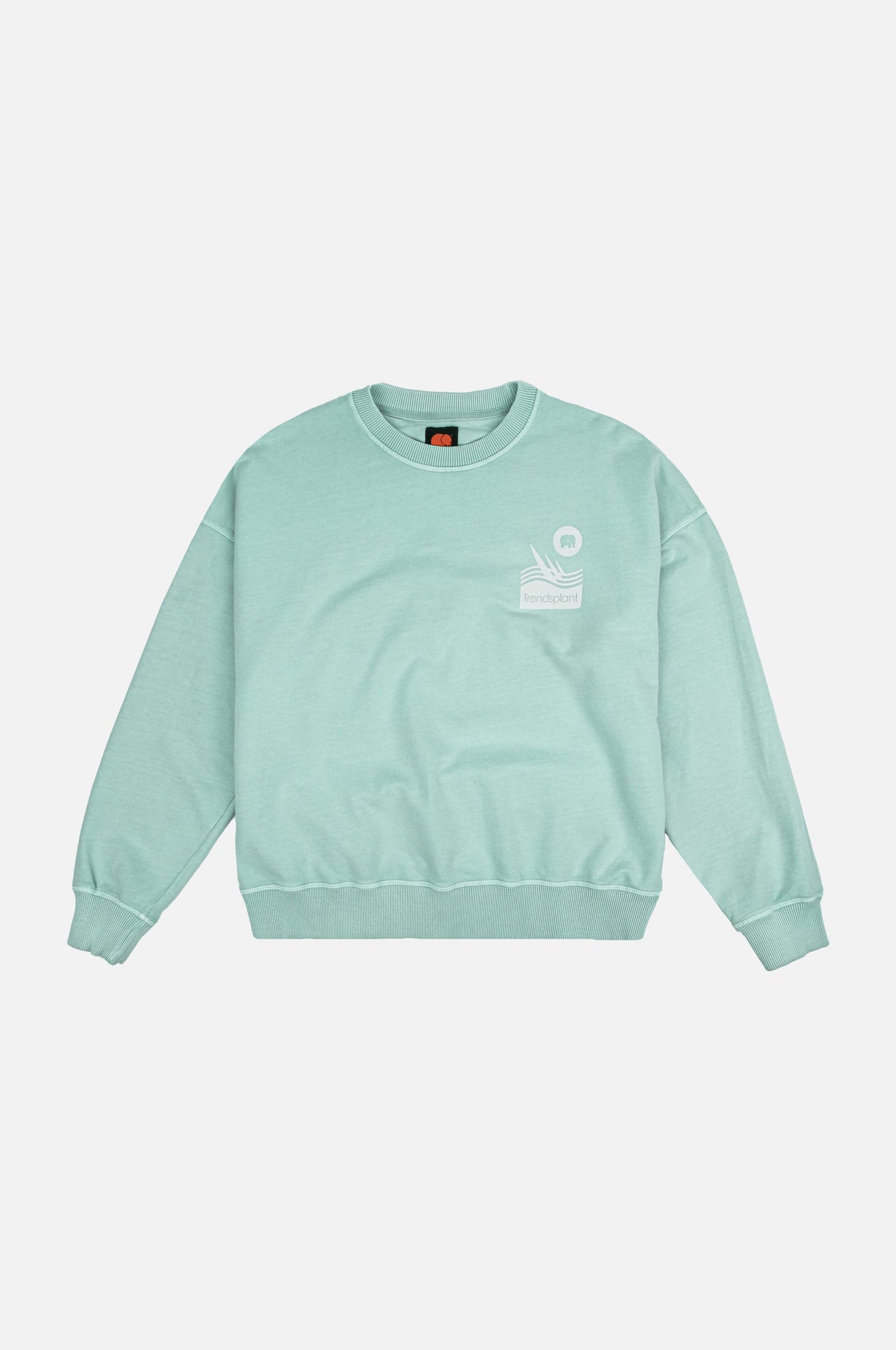 Women's 1770 Pigment Oversized Sweater Shore Green