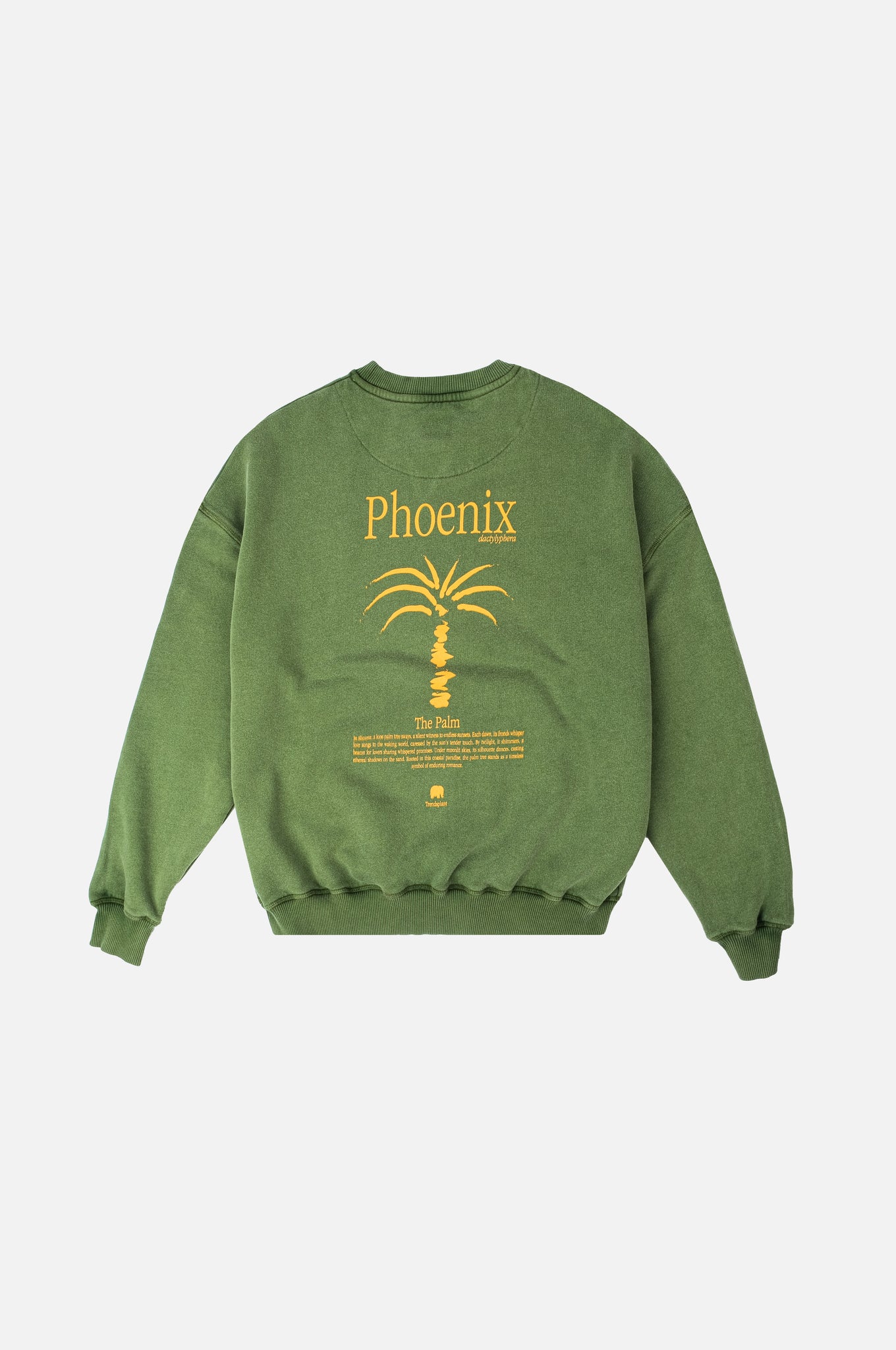 Women's Pigment Oversized Midweight Sweater Washingtonia Pinnas Green