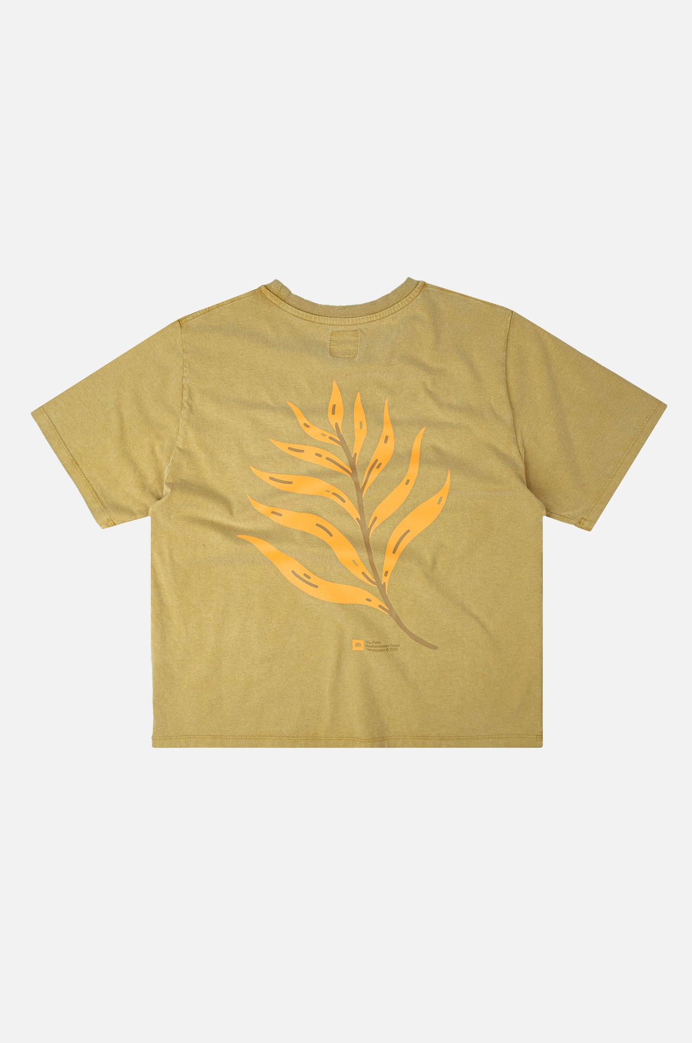 Women's Pigment T-Shirt Confitera Golden Palm