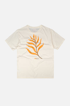 Confitera Pigment T-Shirt Ecru
