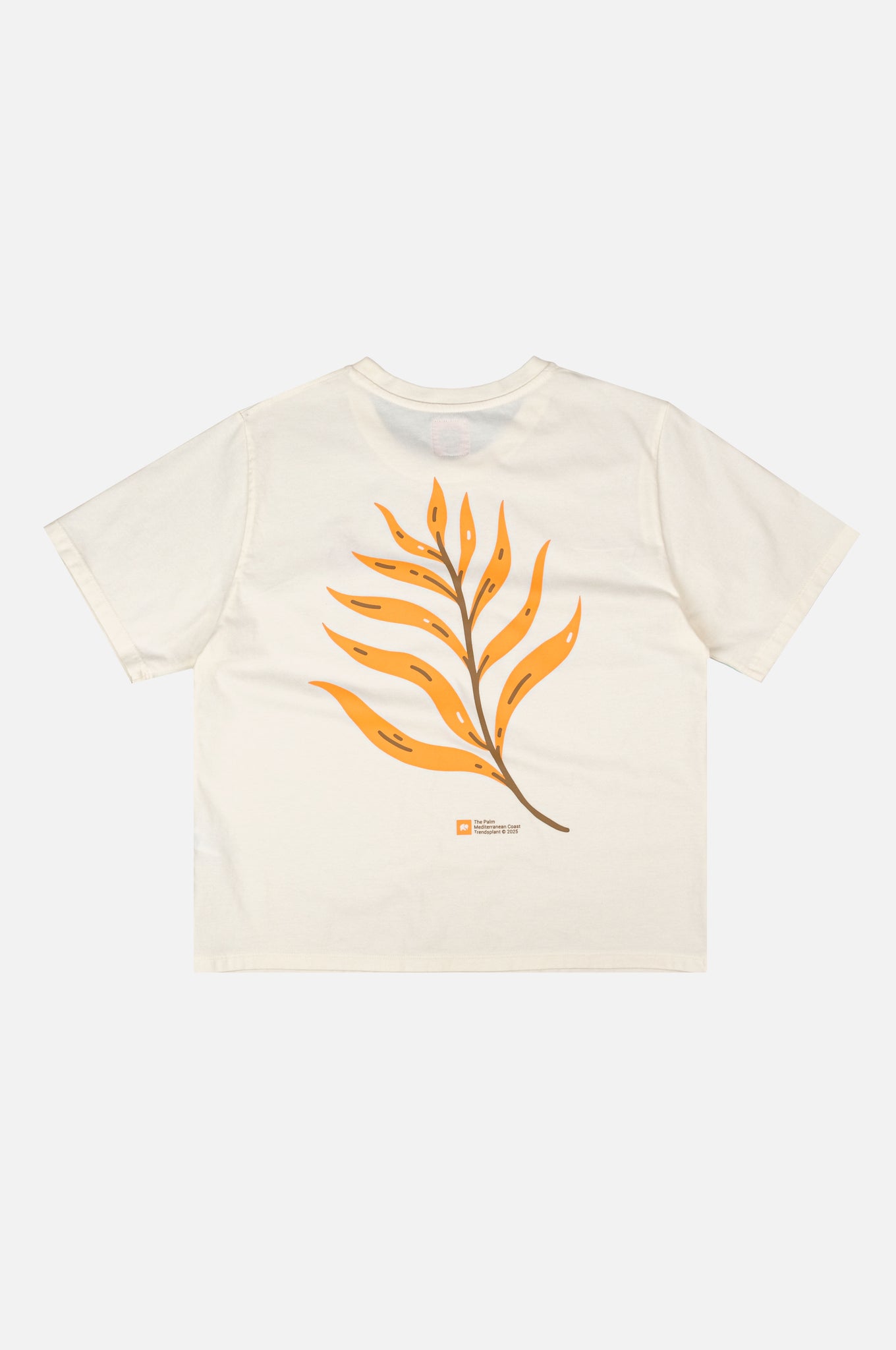 Women's Pigment T-Shirt Confitera Ecru