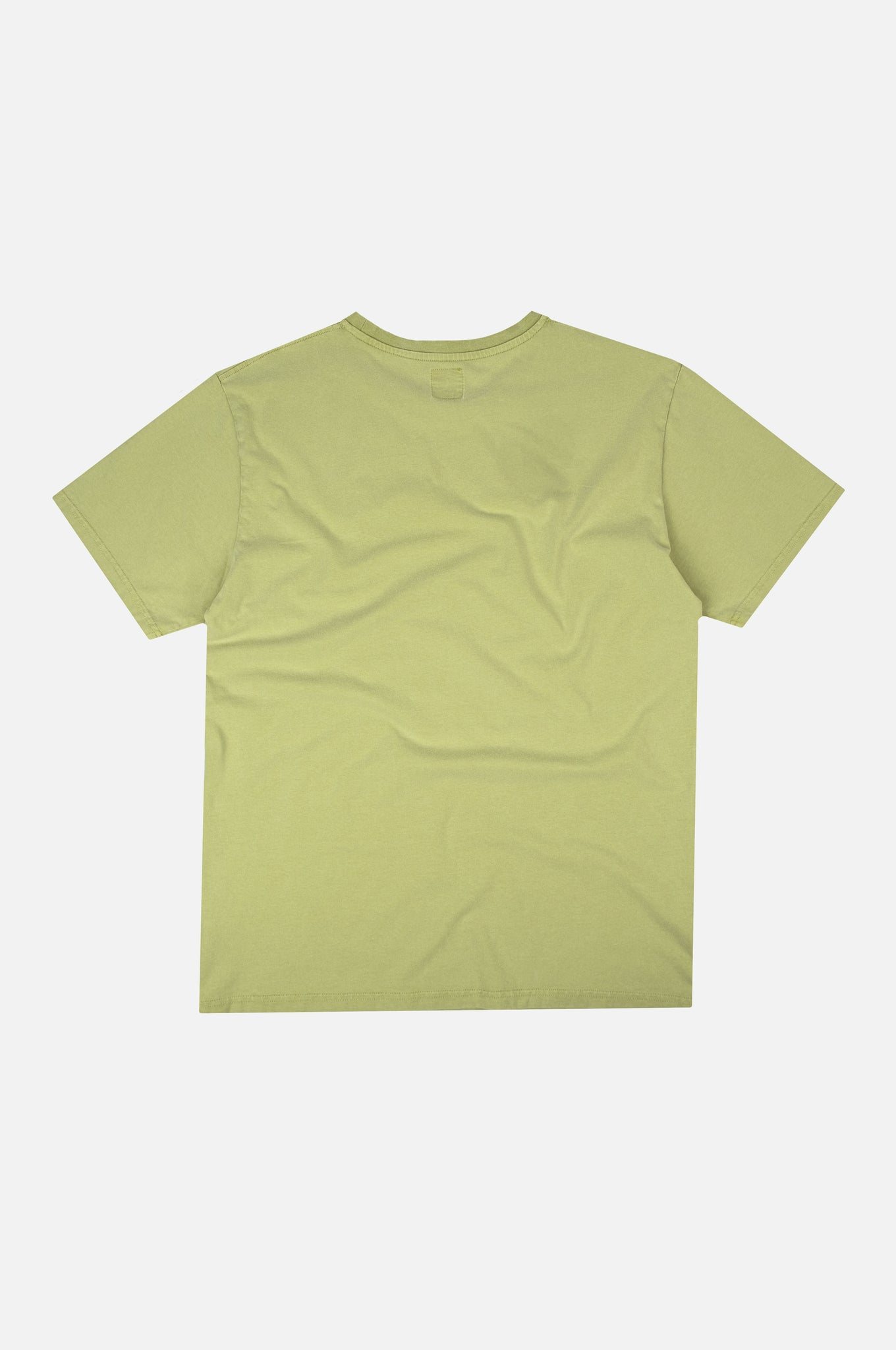 Petiole Pigment T-Shirt Palm Green