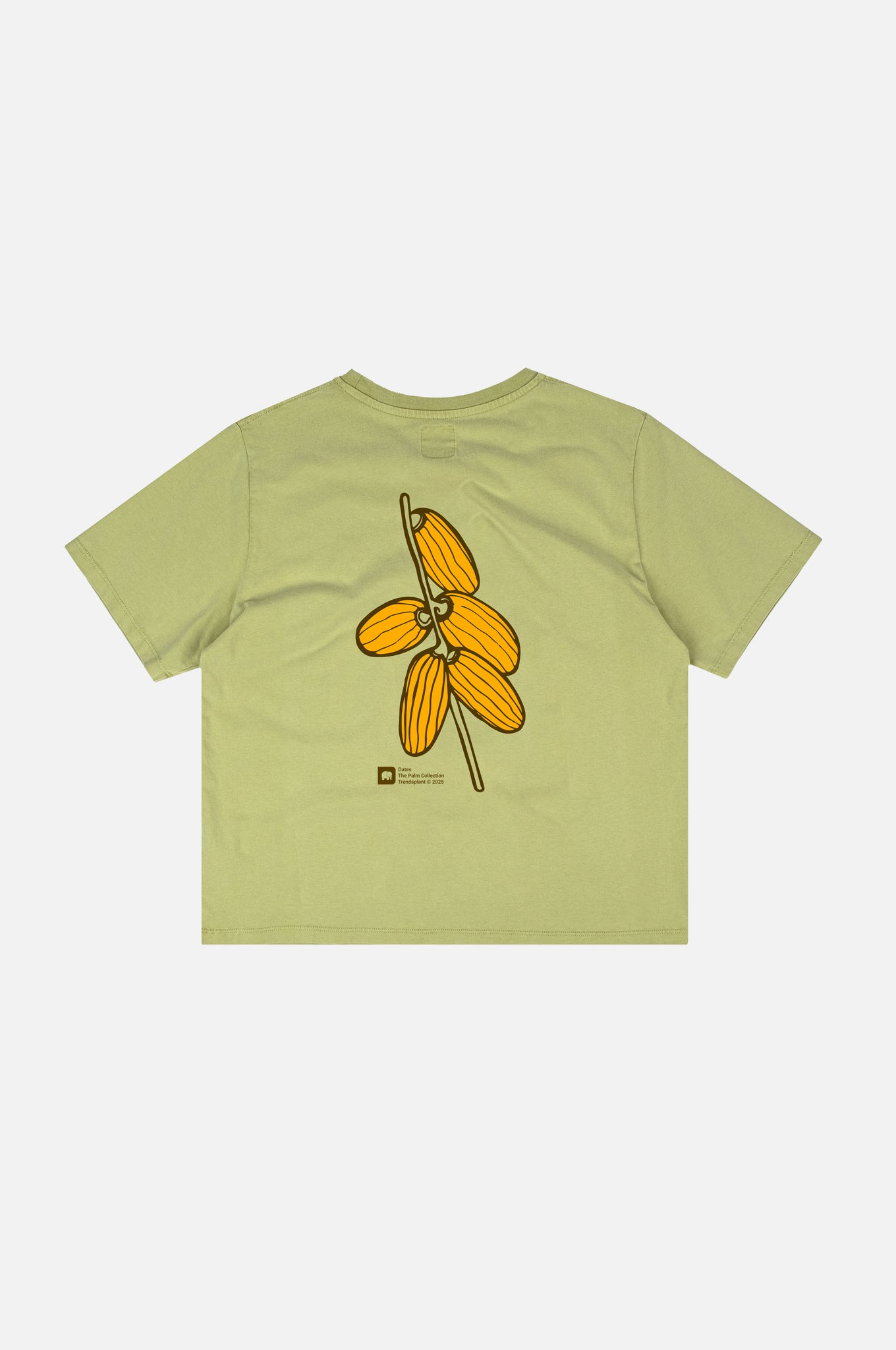 Women's Pigment T-Shirt Datil Palm Green