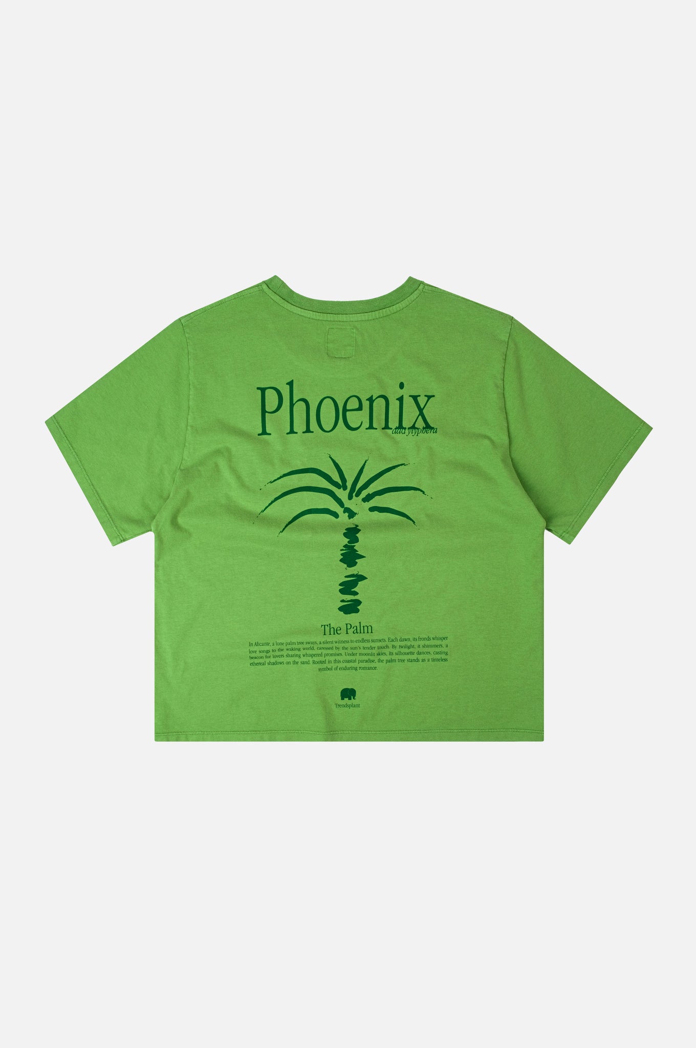 Women's Pigment T-Shirt Phoenix Raquis Green