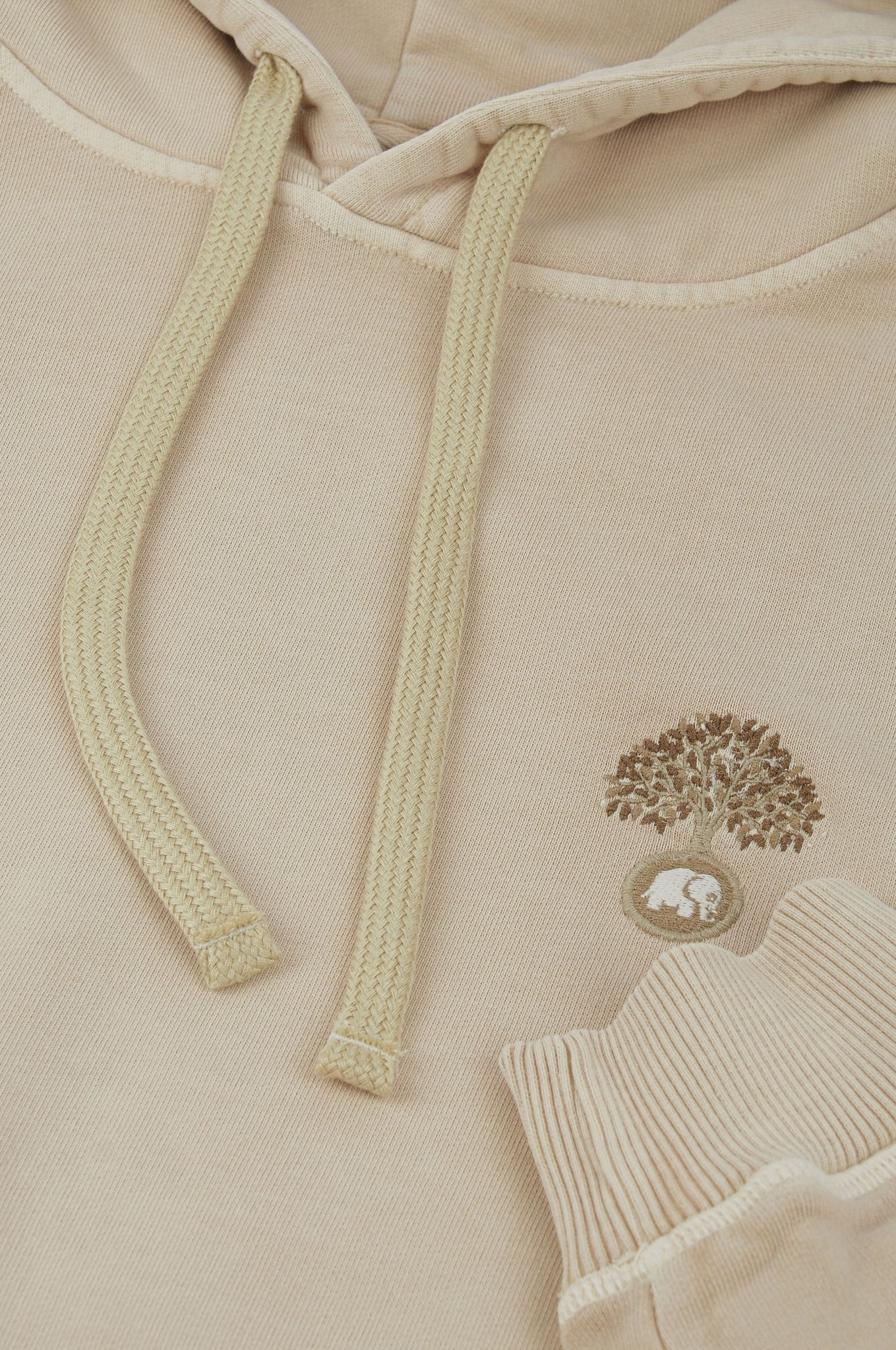 Sudadera Capucha Aroes Pigment Heavyweight Eucalyptus