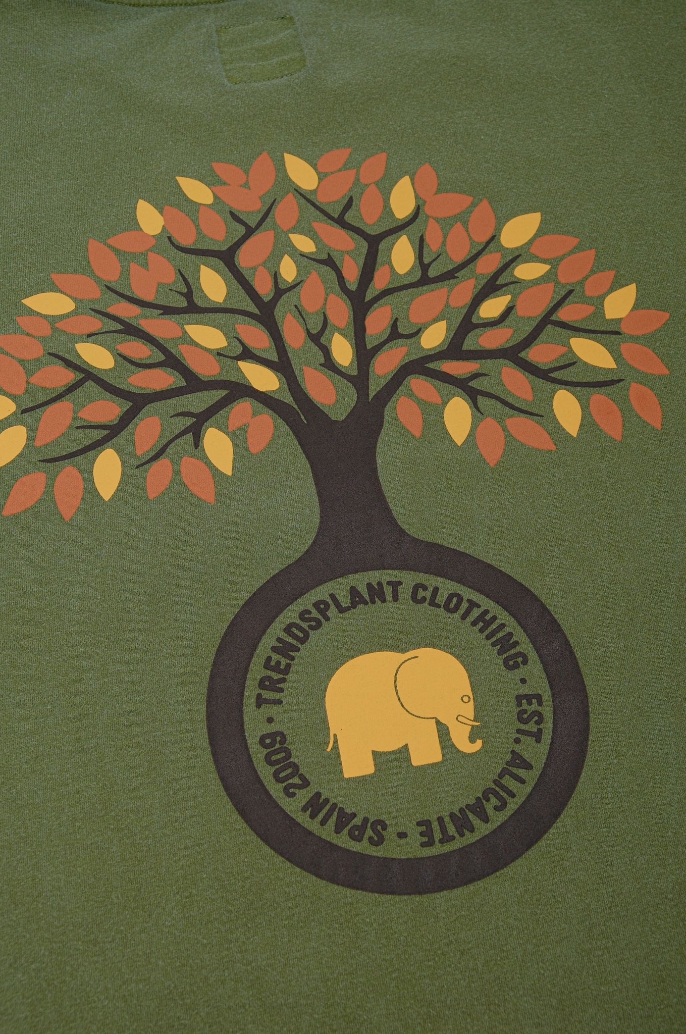 Camiseta Fafe Pigment Forest Green