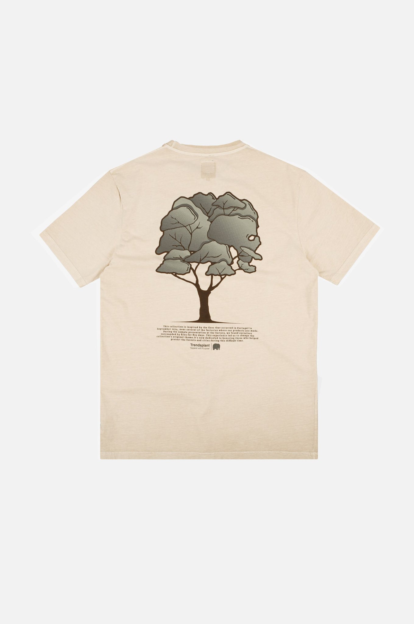 Camiseta Pontido Pigment Eucalyptus