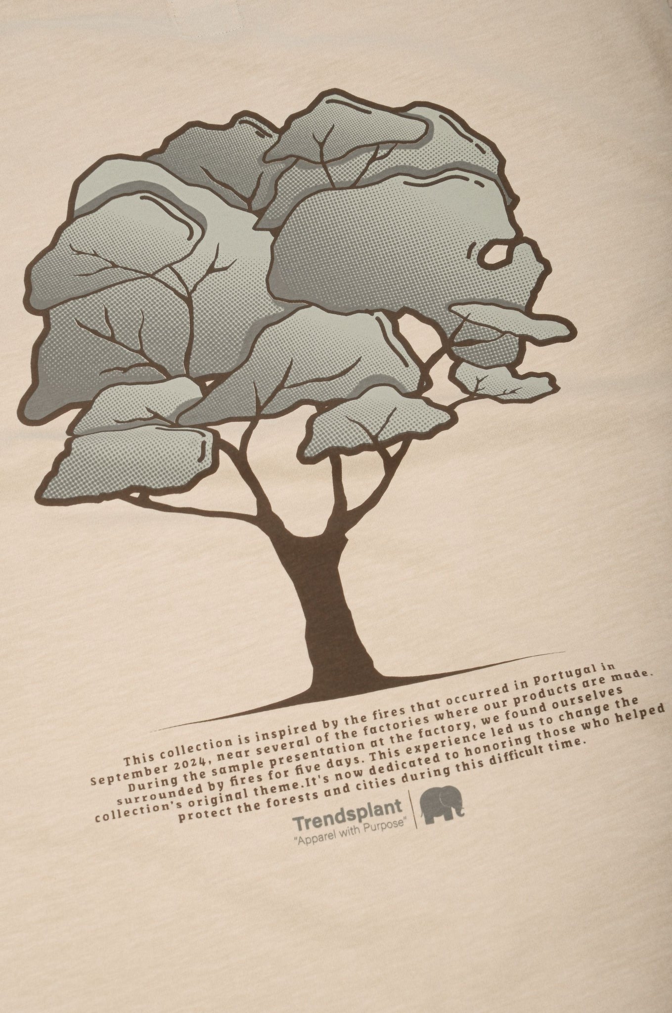 Camiseta Pontido Pigment Eucalyptus