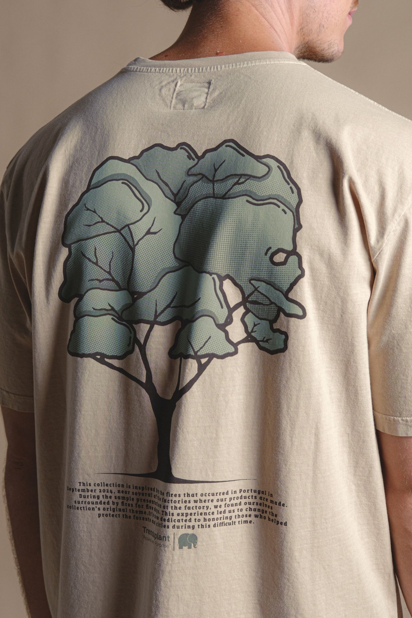 Camiseta Pontido Pigment Eucalyptus