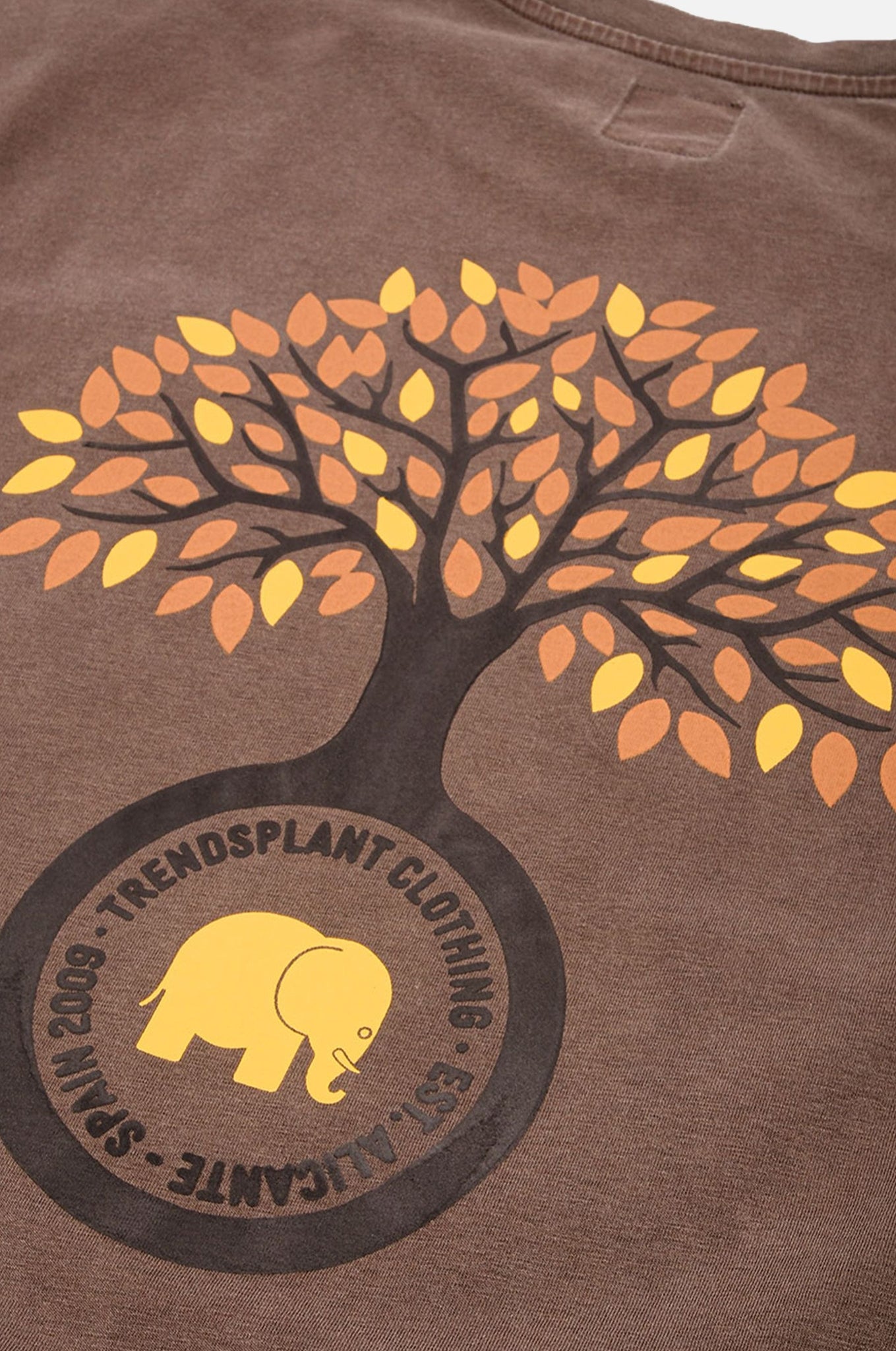 Camiseta Fafe Pigment Chestnut 
