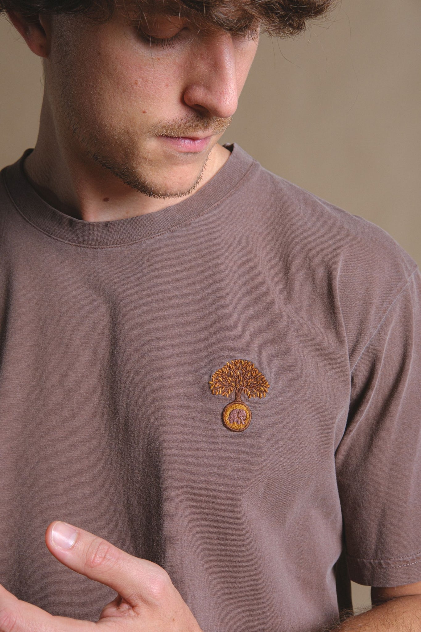 Camiseta Fafe Pigment Chestnut 