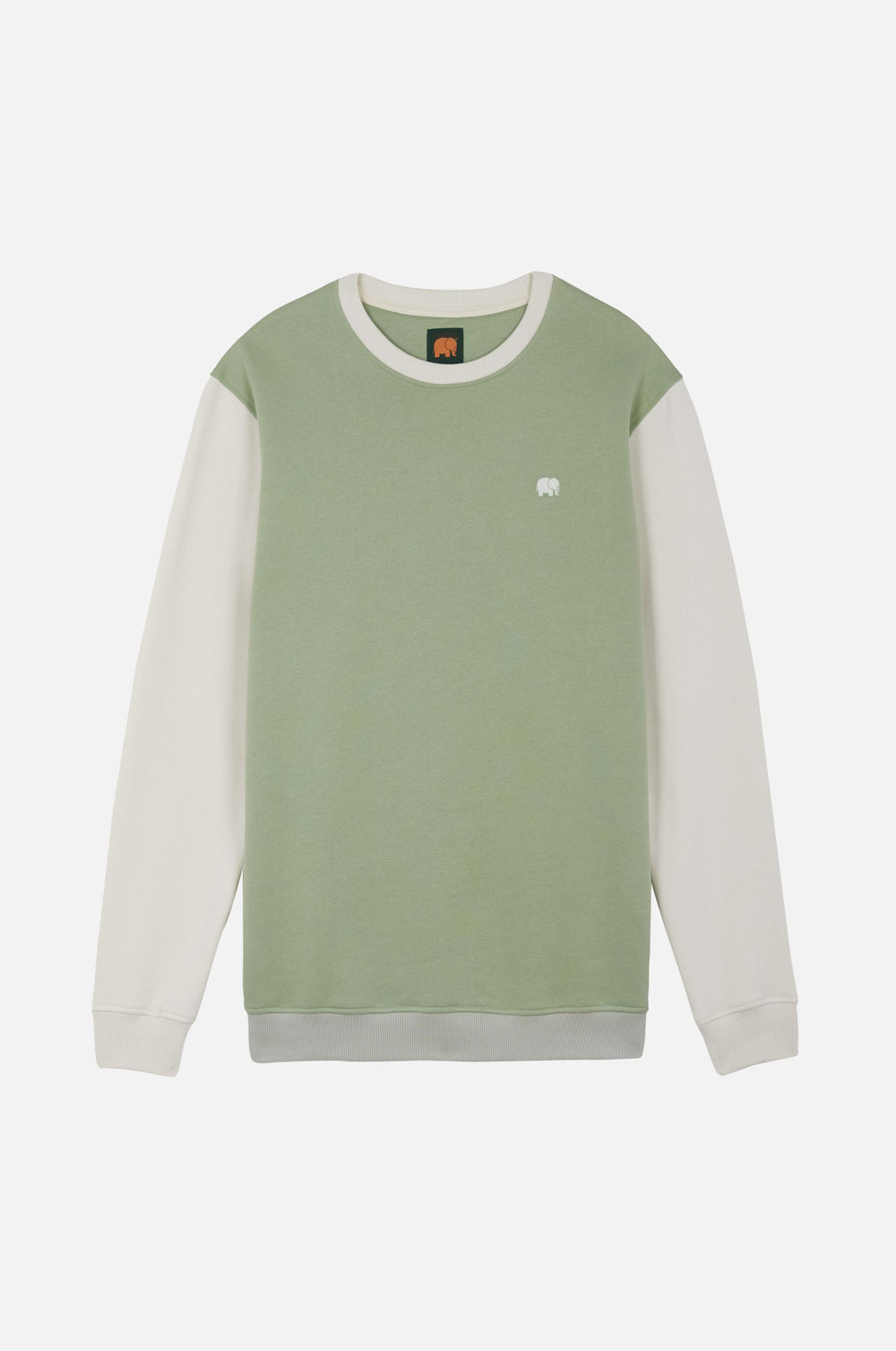 Silhouette de face d'un sweat-shirt Color Block en Salted Moss | TP_IMAGE_TYPE=SILHOUETTE_FRONT