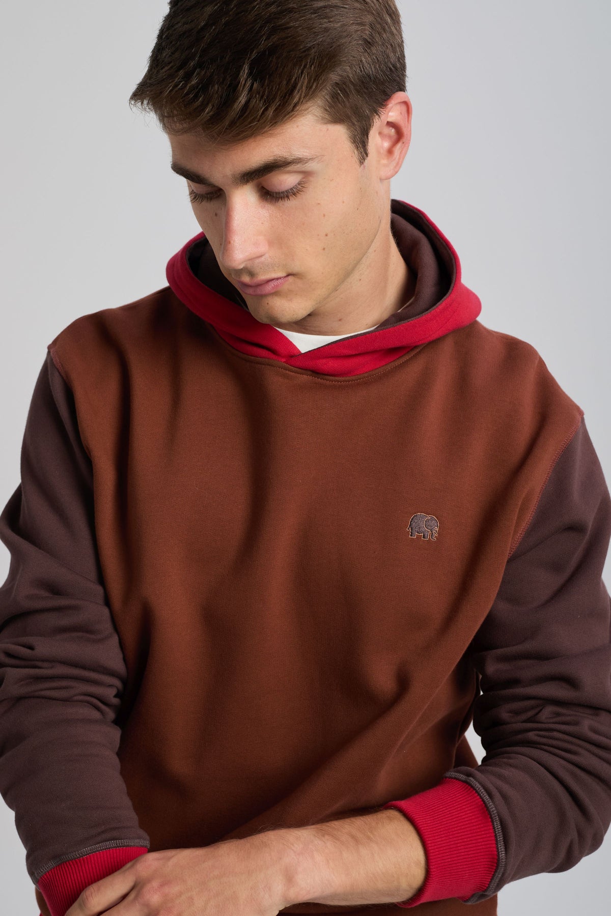 Persona che indossa una felpa con cappuccio Color Block in Cherry Mahogany, con toni contrastanti rossi e marroni e un discreto logo sul petto | TP_IMAGE_TYPE=MODEL_FRONT