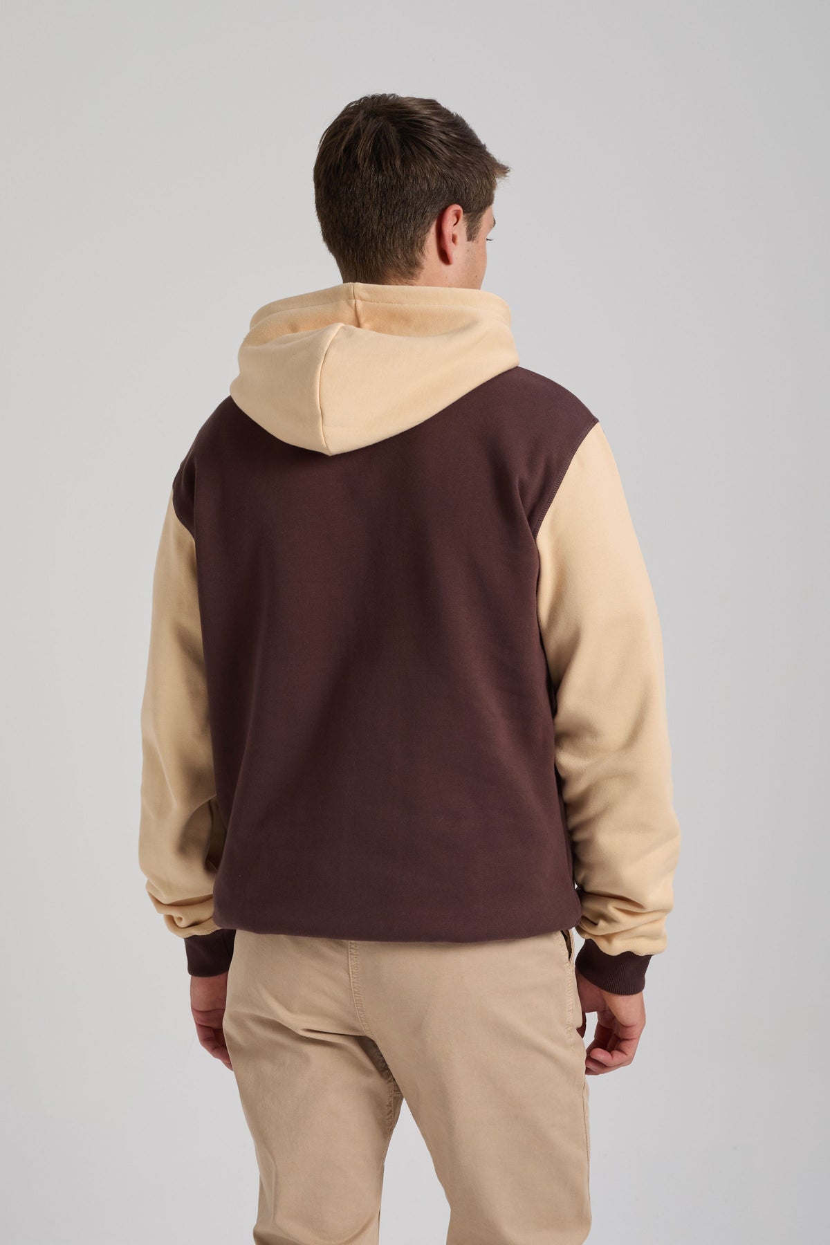 Personne portant un sweat à capuche color block en Solemnity Brown et beige, vue de dos | TP_IMAGE_TYPE=MODEL_BACK