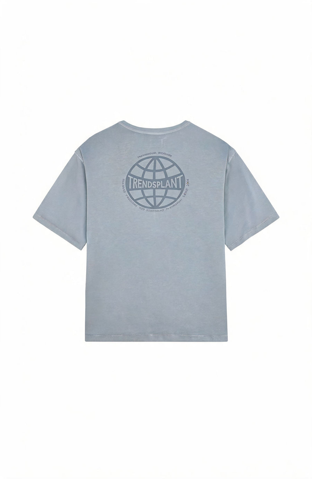 T-shirt Worldwide Sunwashed Heavy Oversized en Quarry Blue vu de dos, avec un design de logo représentant un globe | TP_IMAGE_TYPE=MODEL_BACK