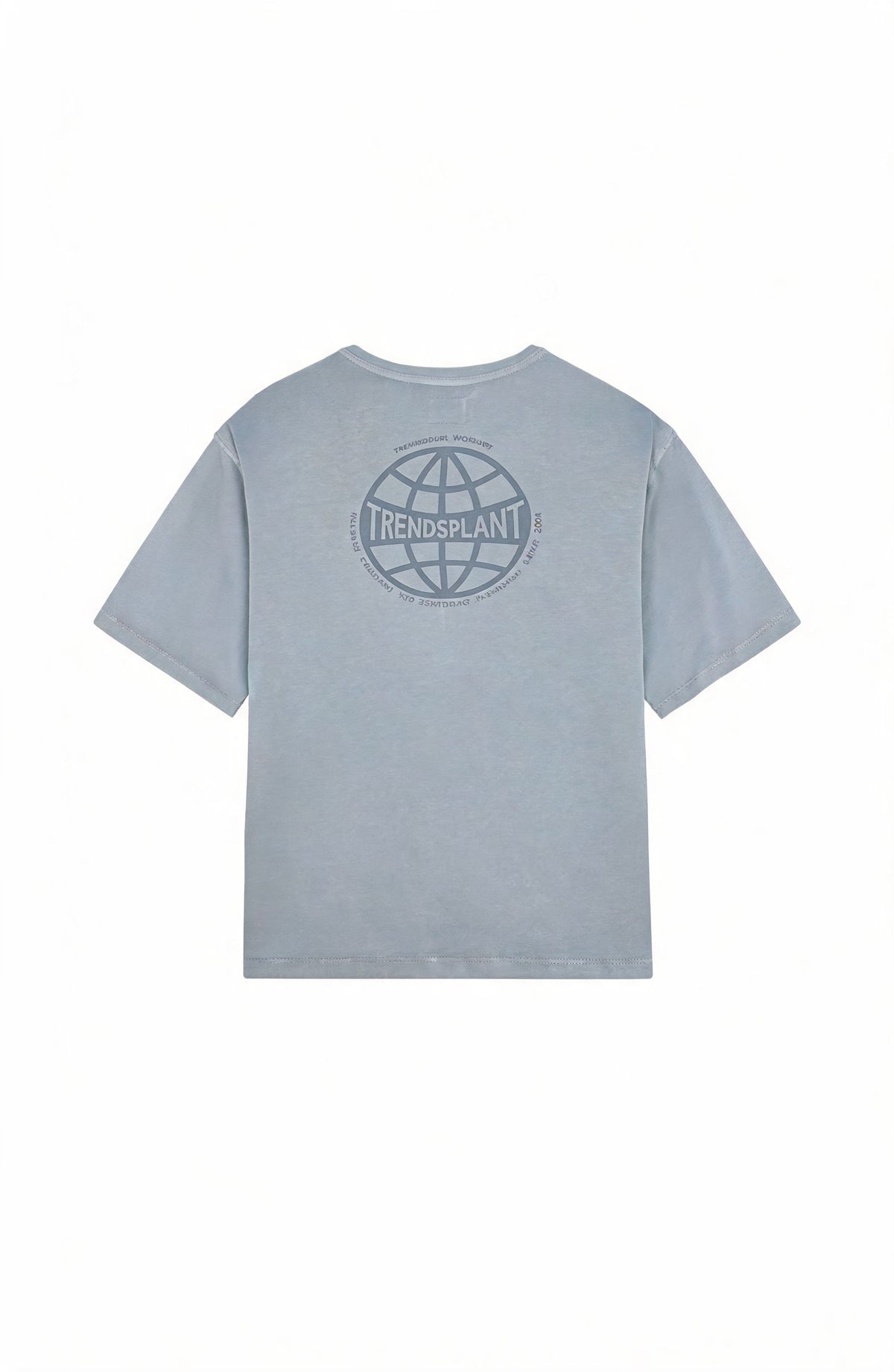 T-shirt Worldwide Sunwashed Heavy Oversized en Quarry Blue vu de dos, avec un design de logo représentant un globe | TP_IMAGE_TYPE=MODEL_BACK