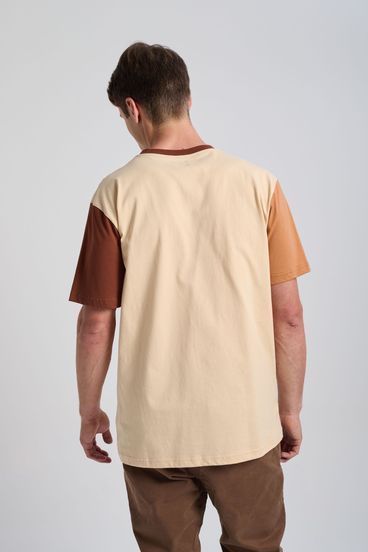 Personne portant un Color Block T-Shirt en Gray Sand avec des manches marron, vue de dos. | TP_IMAGE_TYPE=MODEL_BACK