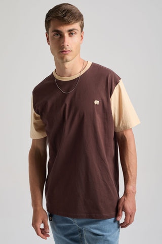 Person wearing a Color Block T-Shirt in Solemnity Brown with cream sleeves, posing against a neutral background. | TP_IMAGE_TYPE=MODEL_FRONT