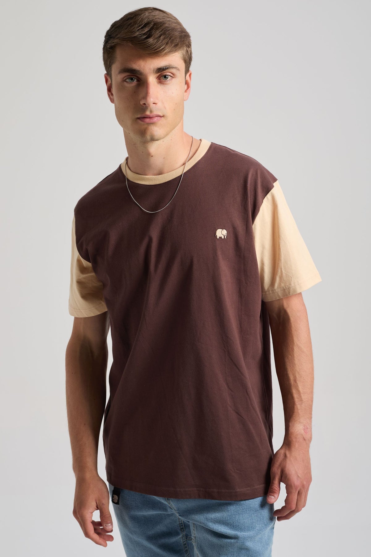 Person wearing a Color Block T-Shirt in Solemnity Brown with cream sleeves, posing against a neutral background. | TP_IMAGE_TYPE=MODEL_FRONT