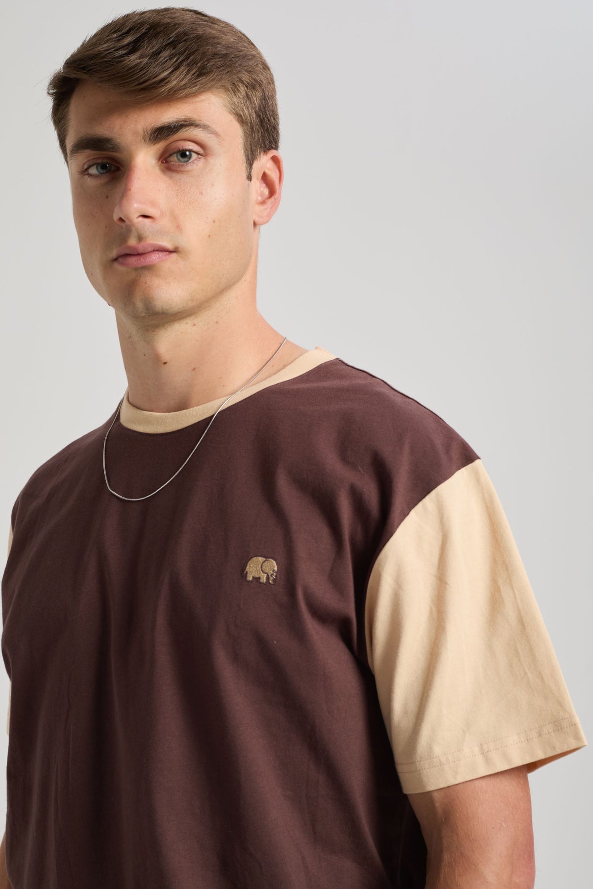 Person wearing a color block t-shirt in Solemnity Brown with contrasting light sleeves and an embroidered design on the chest | TP_IMAGE_TYPE=MODEL_FRONT