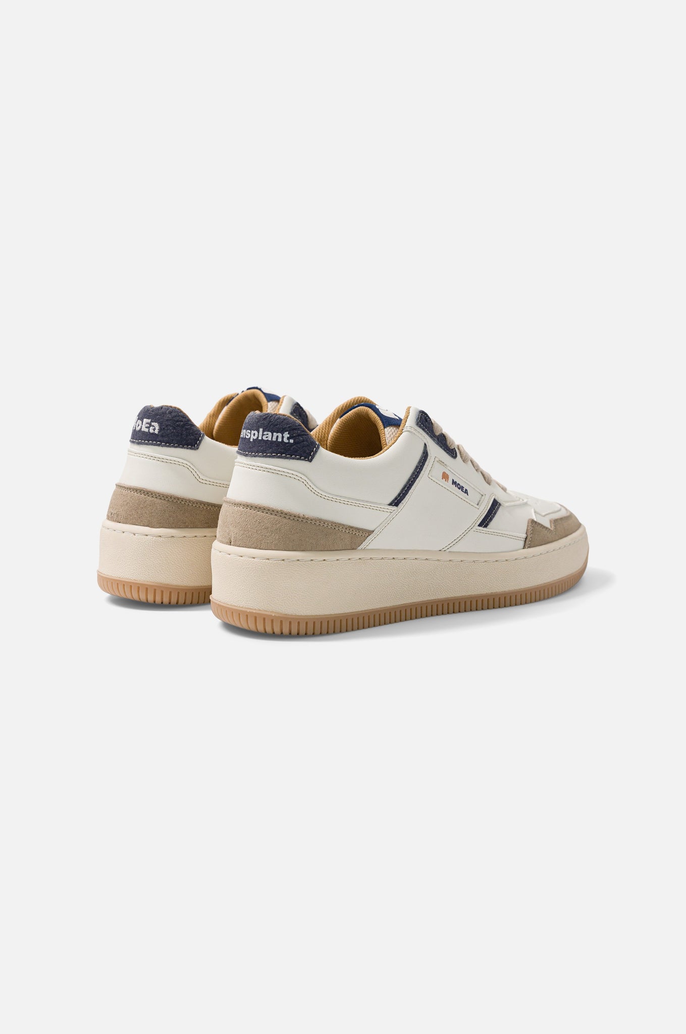 MoEa x Trendsplant Gen 1 Ivory