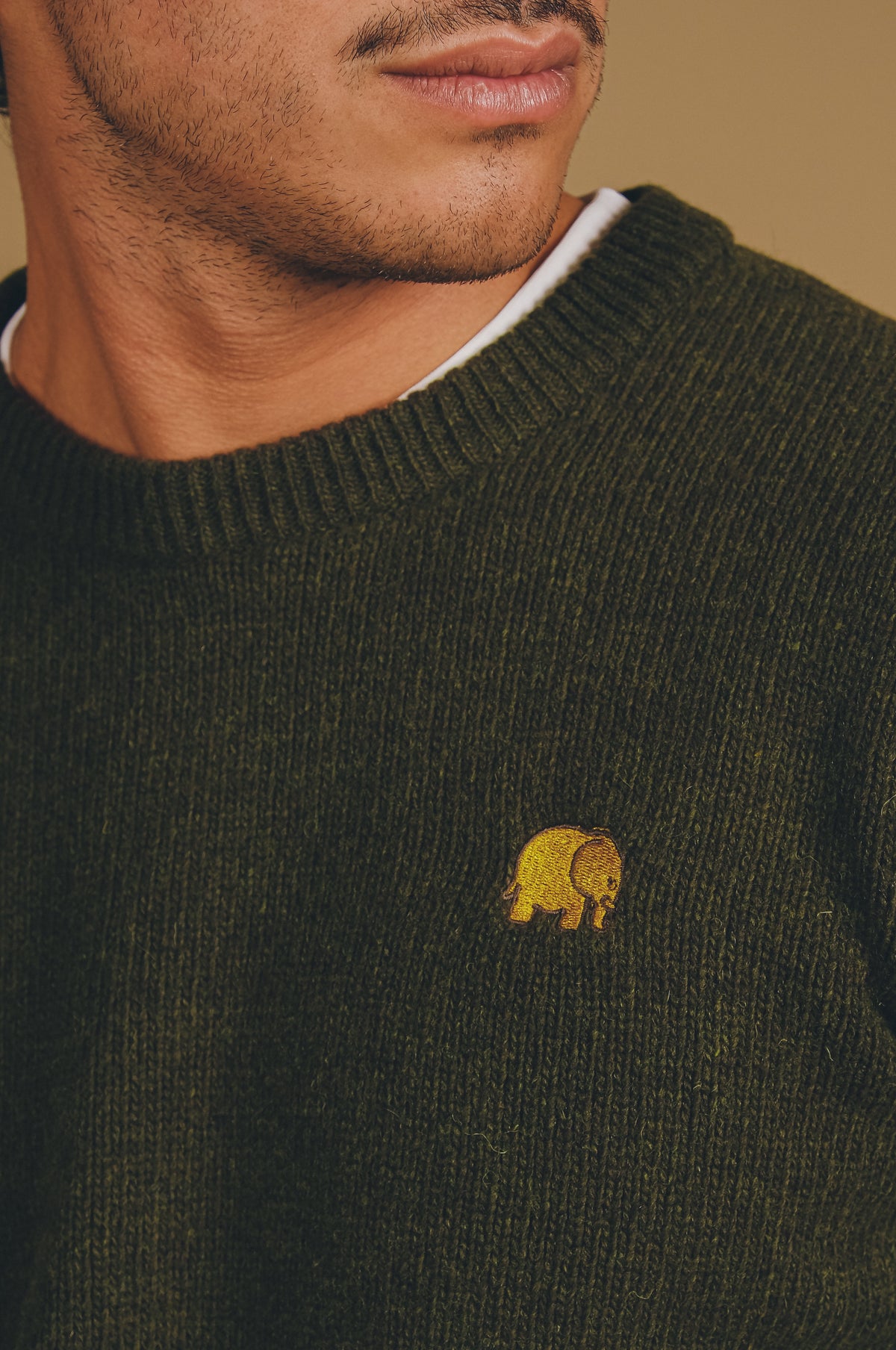 Persona che indossa il maglione Sella Knit Ivy Green con un'esclusiva ricamatura di elefante gialla sul petto | TP_IMAGE_TYPE=DETAIL